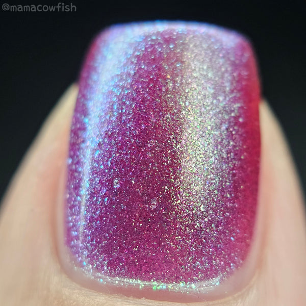 Party in the Streets