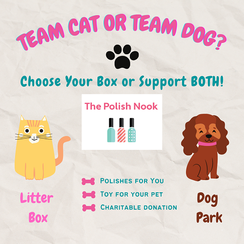 Cat vs. Dog Charity Box